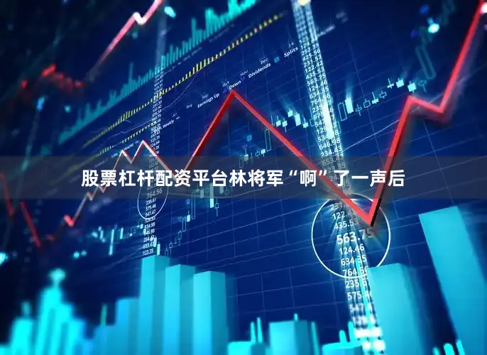股票杠杆配资平台林将军“啊”了一声后