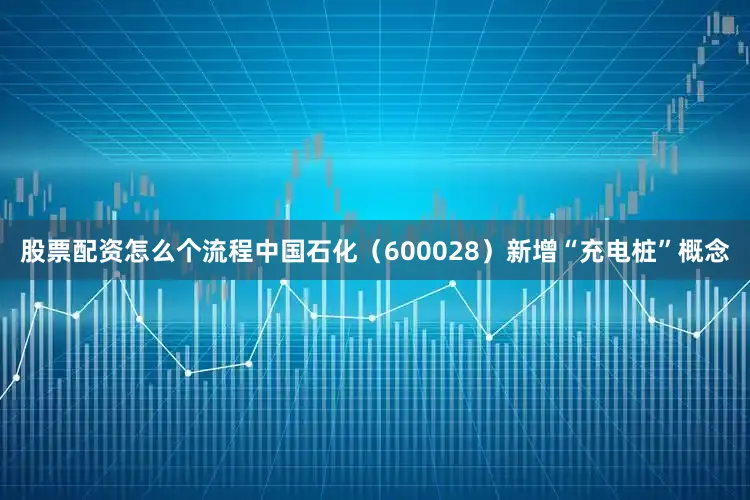 股票配资怎么个流程中国石化（600028）新增“充电桩”概念